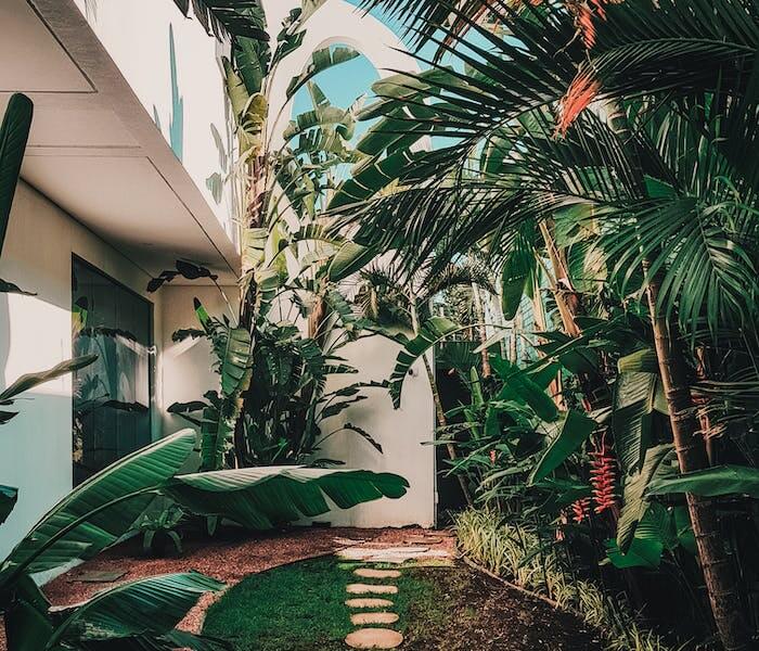 Planting & Softscaping hardscape2