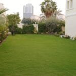 landscaping 1