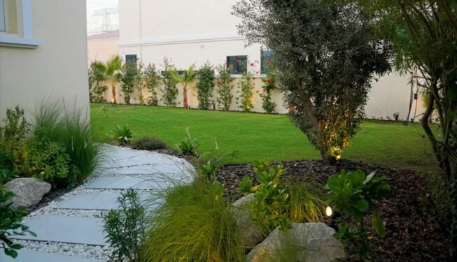 landscaping 2