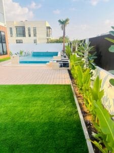 landscaping 3