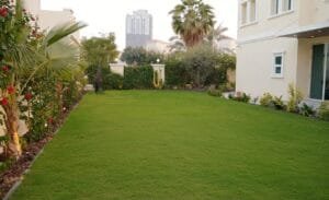 Jumeirah Village Triangle jumeirah village triangle 12